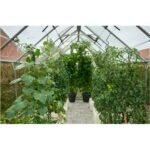 HALLS - Serre de jardin Magnum 9.9 m² polycarbonate 6 mm – Image 4