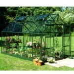 HALLS - Serre de jardin Magnum 8.2 m² verre 3 mm - Vert – Image 2